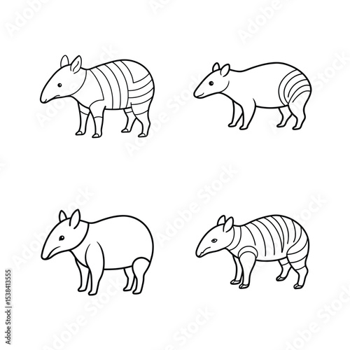 Four simple outlined illustrations of tapirs in different poses and line art style
