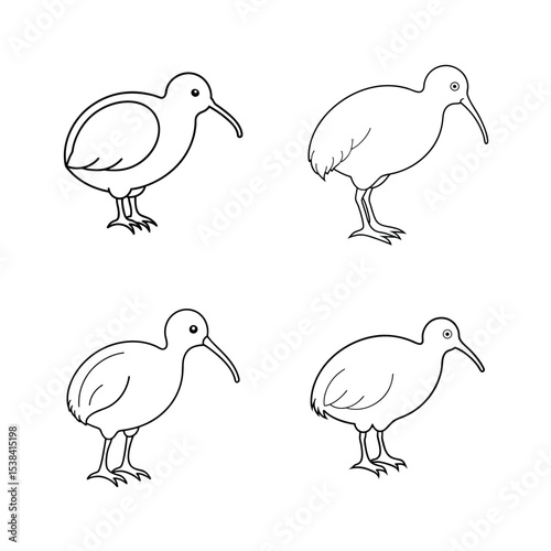 Set of four simple black and white illustrations depicting the kiwi bird in different poses