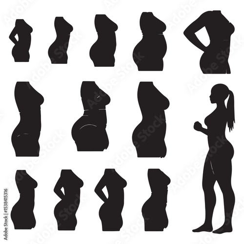 Black Silhouettes of Female Body Types Various Poses and Sizes Collection vector