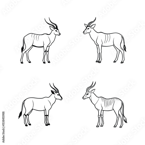 Detailed black and white line art illustrations of antelopes in various poses on white background