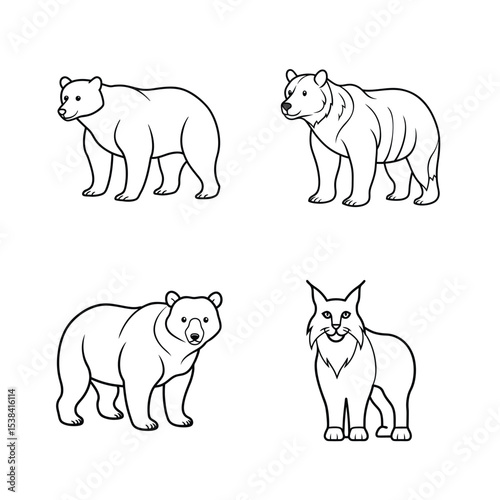 Outline illustrations of a collection of various bear species and a bobcat in black and white