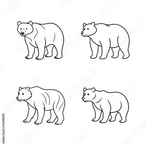 Vector illustration featuring four stylized black and white outline drawings of bears
