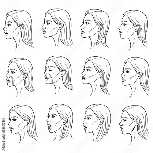 Twelve Profile Drawings of a Woman Showing Facial Expressions and Mouth Positions female face