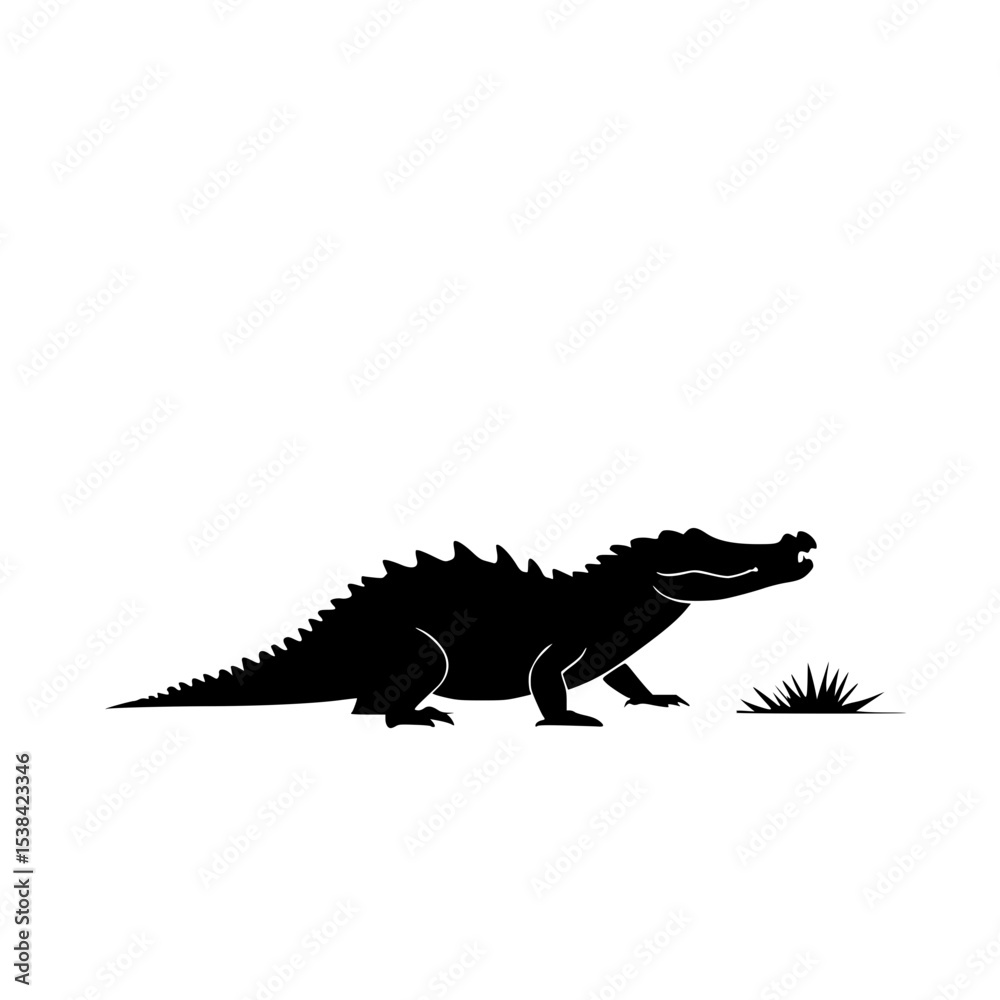 Fototapeta premium crocodile isolated on white background
