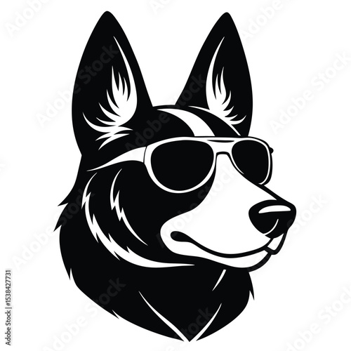 Adobe Illustrator Artwork