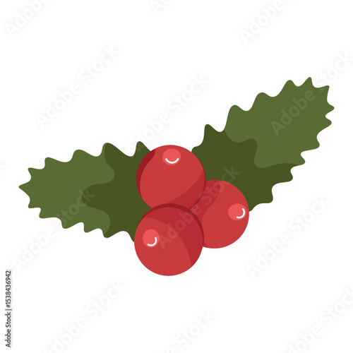 A festive illustration of holly.