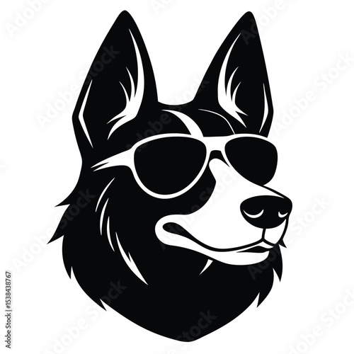 Adobe Illustrator Artwork