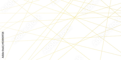 Abstract lines in black tone of many squares and rectangle shapes on white background Seamless luxury geometric premium golden random chaotic lines background