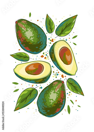 Colorful card with avocado and green leaves on white background. Bright whole and halves of fruit. Cartoon. Art print for walls, banners, packaging, covers, etc. Vector isolated