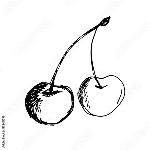 Hand drawn sketch cherry vector illustrated with background