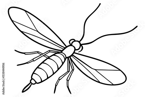 Simple Mayfly Line Drawing