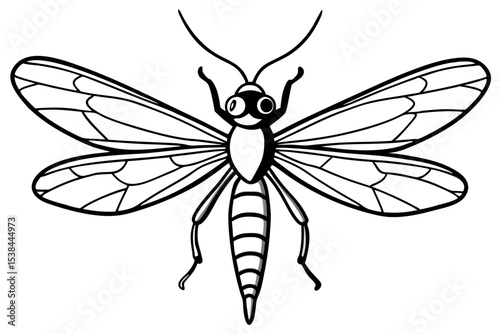 Simple Mayfly Line Drawing