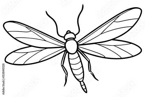 Simple Mayfly Line Drawing