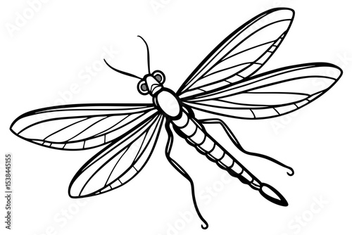 Simple Mayfly Line Drawing