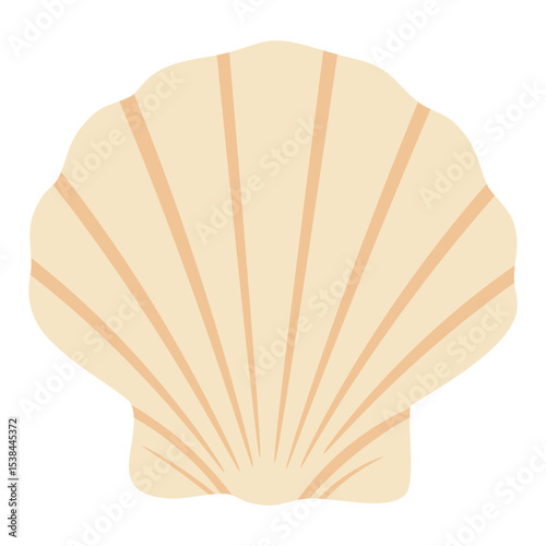 Cartoon seashell in light beige tones. Flat vector illustration with soft curved lines and pattern.