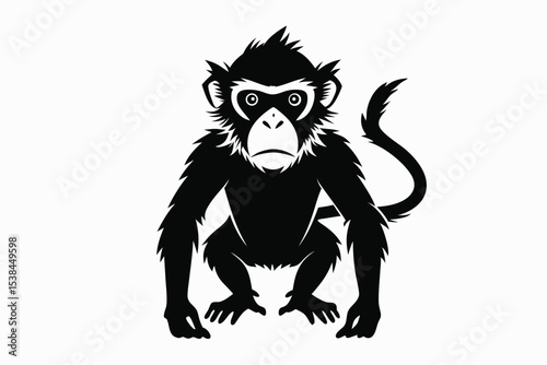 An isolated black monkey stands, looking towards the viewer, against a solid white background
