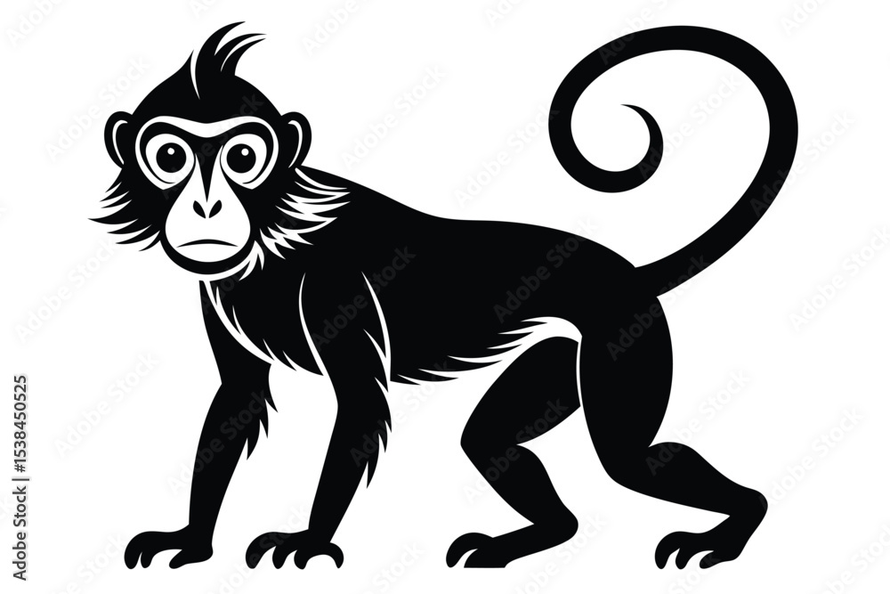 Obraz premium Elegant black monkey poses attentively, showcasing a stylized curved tail and distinctive facial features
