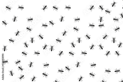 Set of ant Insect Insects ant ants emmet pismire banne.r Insect Insects ant ants emmet pismire banner Vector icon icons sign signs fun funny A line of worker workers ants marching search 