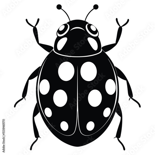 Black ladybug insect with white spots art on white background is presented