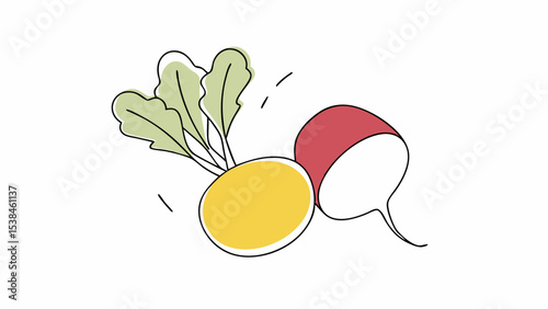 Yellow and Red Radishes