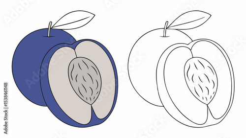 Plum Fruit, Whole and Halved, Coloring Page Illustration