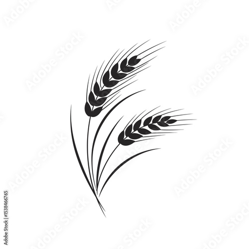 Wheat Ears Icons vector illustration. wheat leaf clipart. Organic wheat icon, bread agriculture. Grains plants and cereal, rye barley and wheat ear spikes. Bakery food concept. cereal plant isolated.