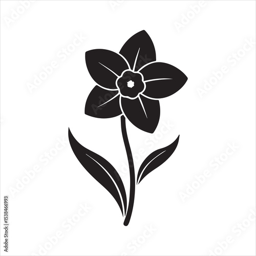 daffodil flower vector illustration