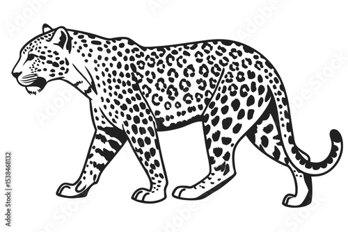 Monochromatic leopard prowls forward, showcasing its striking spotted pattern, rendered in a crisp black and white outline