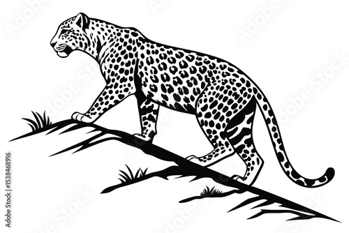 Detailed leopard traverses a stark black branch, rendered with crisp, precise lines