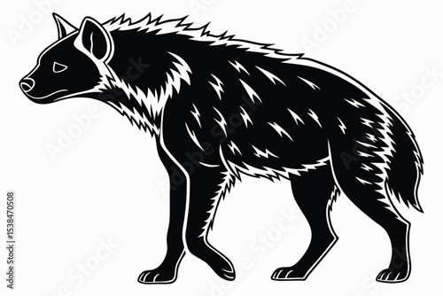 Black and white hyena strides confidently, displaying its characteristic fur pattern distinctly