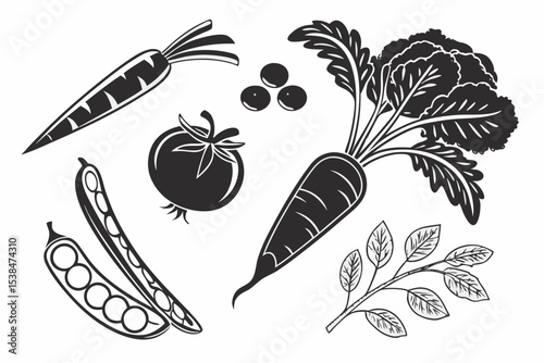 hand drawn vegetables
