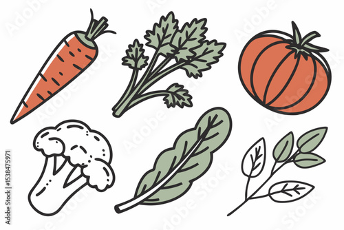 set of vegetables
