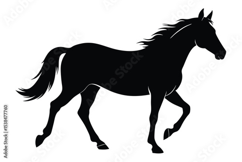 Horse silhouette gallops with flowing mane and tail in striking black contrast