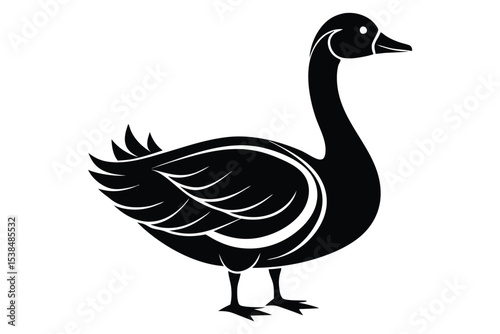 Black swan stands gracefully, its elegant form rendered in sharp simplicity