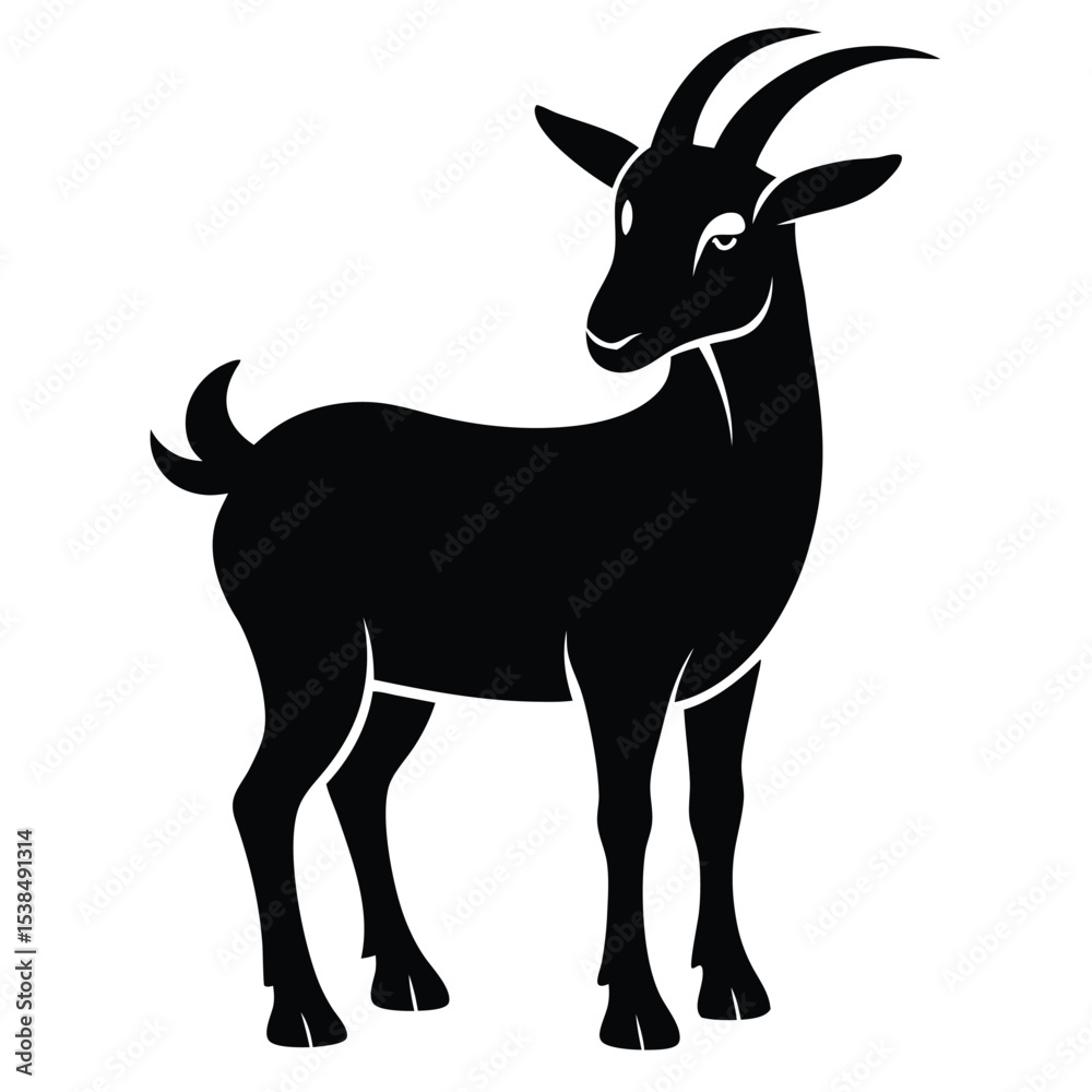 Fototapeta premium A solid black goat with curved horns and a short tail stands calmly