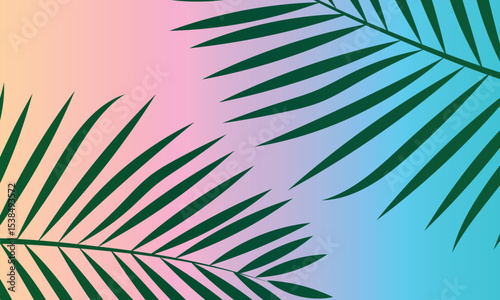 palm leaves background