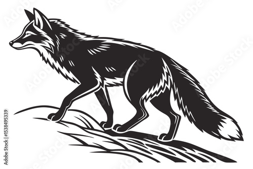 Striking silhouette shows a fox gracefully walking through tall, textured grass with confidence