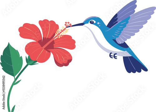 Hummingbird Feeding on Vibrant Hibiscus Flower Illustration