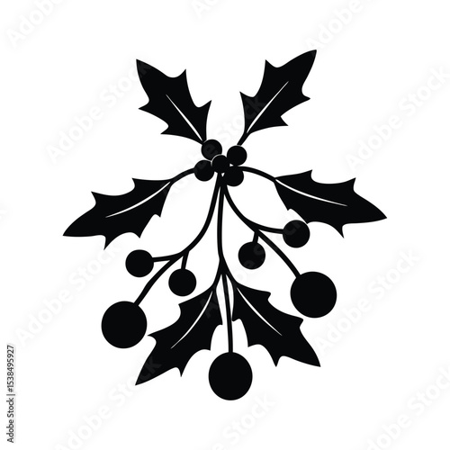 mistletoe vector silhouette