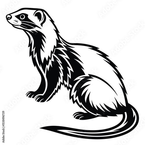 Black and white ferret illustration is sitting in side profile view on the ground