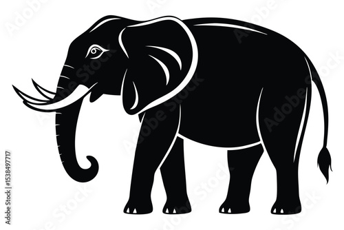 Majestic black elephant standing calmly displaying its long curved tusks and large ears