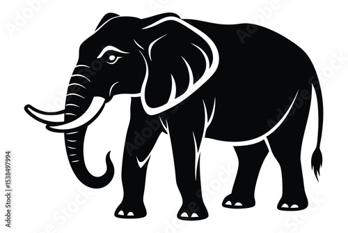 Black and white illustrates an elephant with tusks standing calmly
