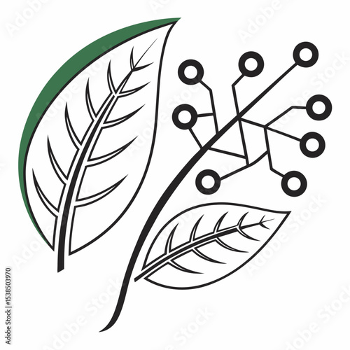 Sustainable Technology Nature and Innovation Combined