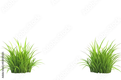 Fototapeta Naklejka Na Ścianę i Meble -  Two vibrant clumps of green grass