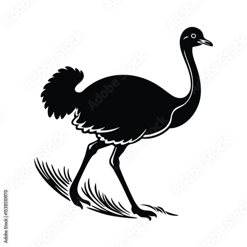 Ostrich Running Across the Karoo