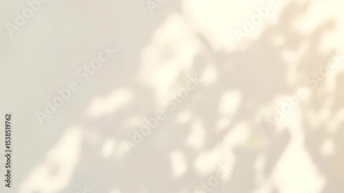 Warm Plant Shadow Blur Overlay: Aesthetic Light & Calm Nature Background, Soft Bokeh for Meditation or Product Display. 4K Video.