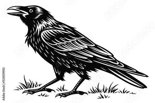 Black raven perches in the grass, its beak slightly open in silhouette