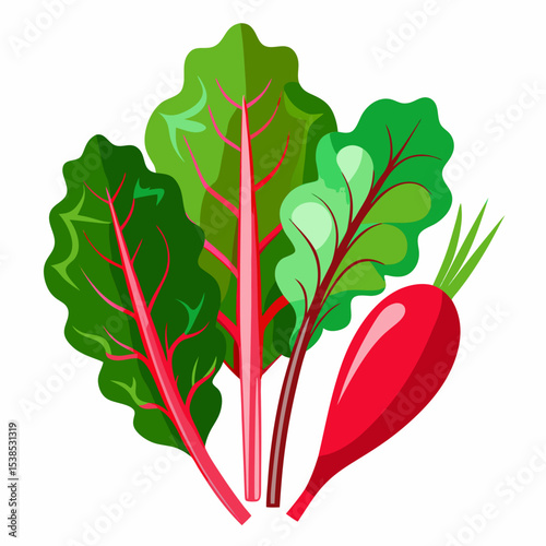 Vibrant Swiss Chard and Radish Illustration A Colorful Depiction of Fresh Healthy Vegetables with Bold Red Stems and a Shiny Radish on a Clean White