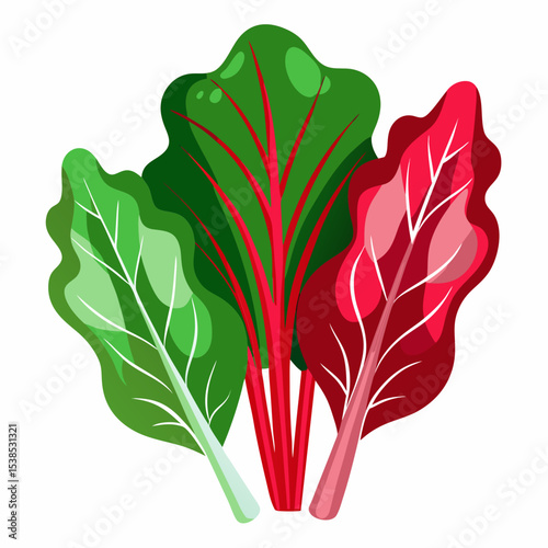 Colorful Swiss Chard Illustration A Vibrant Trio of Green Red and Burgundy Leaves with Prominent Veins Isolated on White Showcasing Fresh Produce and Healthy Eating