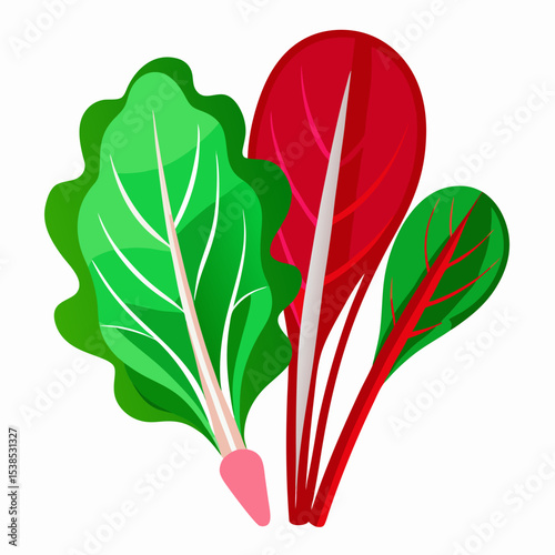 Colorful Swiss Chard Illustration Vibrant Green and Red Leaves with White and Red Stems Isolated on White Background Perfect for Healthy Eating and Gardening Themes
